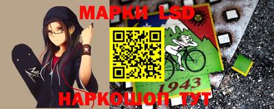 шишки Лесосибирск
