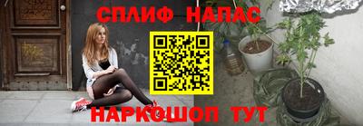 шишки Лесосибирск