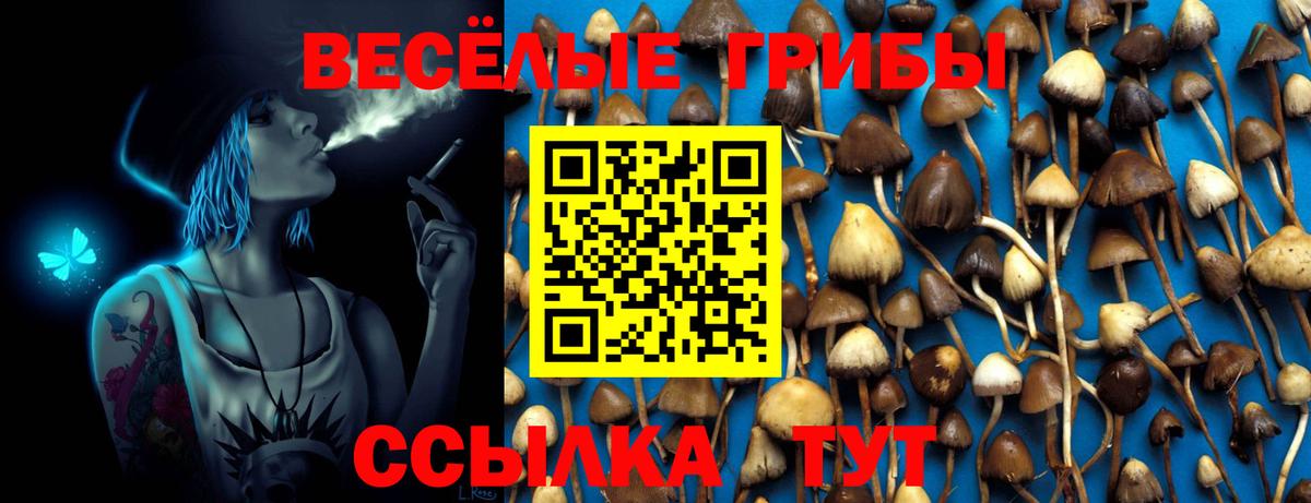 Метамфетамин  Гашиш  ЭКСТАЗИ  Вход с VPN  Меф МЯУ МЯУ кристаллы  Азов  Каннабис  КОКАИН  Купить наркотики цена 